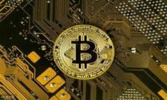 全面解析EOS币钱包：选择、使用及安全指导