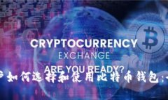 中国用户如何选择和使用比特币钱包：全面指南