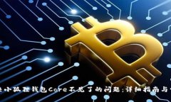 如何解决小狐狸钱包Core不见了的问题：详细指南