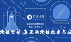 TP钱包跨链分析：真正的跨链技术与应用前景