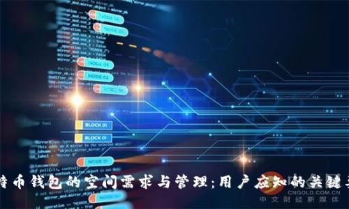 比特币钱包的空间需求与管理：用户应知的关键要素